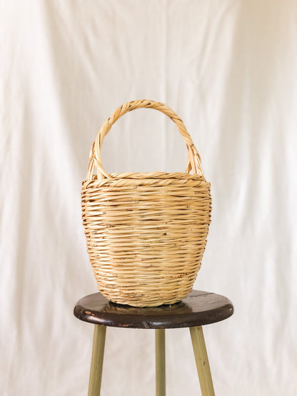 Birkin Basket | Blue Rose